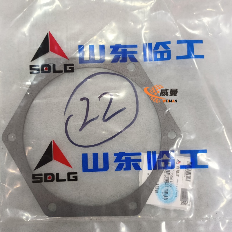 4110000556189 水泵密封垫 0.02KG1.jpg