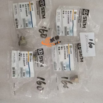 SEM Z320220060 5217563 Unpowered braking valve plug 0.01kg for machine with Good Quality and Price