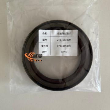The OEM SEAL;SHAFT 0734319409 2HL100/290 0.1kgs for Doosan