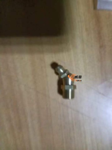SDLG Grease nipple 4030000101 JB7940.2-45°M101 for LG wheel loader with good price