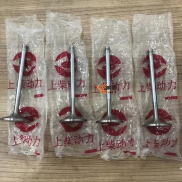 Shangchai D04-110-33+A INTAKE VALVE for Machinery with good price