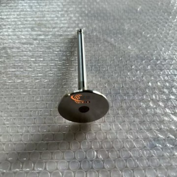 SDLG Inlet Valve 4110000560145 for LG Wheel Loader with good price