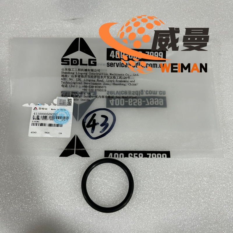 4110000509252-1_副本