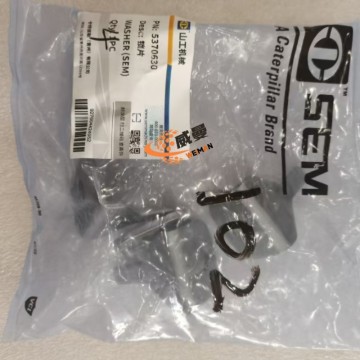 SEM 5370630 washer 0.05kg for machine with Good Quality and Price