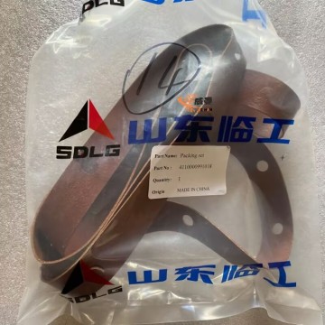 SDLG 4110000991018 Oil pan gasket 0.1kg for machine with good price