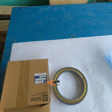 SEM 5194969 W44000119 Bearing 2kg for Machine with good price