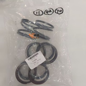 ZF 0732041183 Spring 4110000076251 for machine with Good Quality&Price