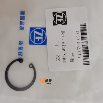 0634402025 Sealing ring 0.01kg 0634402025 piston ring 4110000076030 SP100083