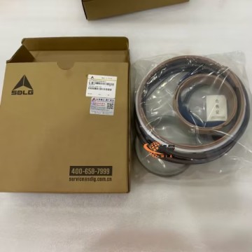 SDLG Bucket cylinder seal kit 4120002264401 for LG Wheel Loader with good price