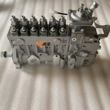 SDLG 4110002373013 13060637 Fuel Injection Pump Asse 17.6kg for G9180 with good price