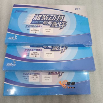 Weichai Repair Kit,1003010841,  for Weichai engine models
