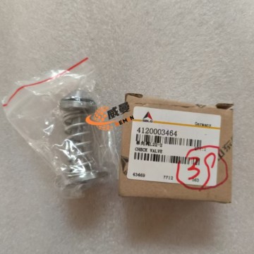 SDLG 4120003464 Check Valve 0.1kg for machine with Good Quality and Price