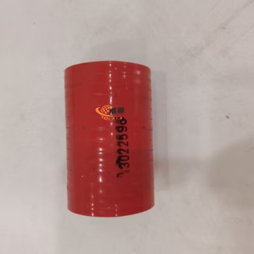 SDLG 13022596 4110000054300 Rubber Hose 0.22kg for machine with Good Quality&Price