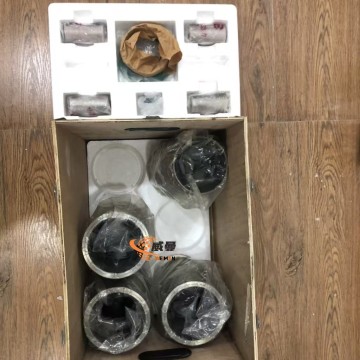 D05-101-30+C CYLINDER KITS D05-101-30+C Piston,shanghai diesel engine,sdec,shangchai