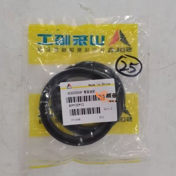 SDLG 4030000049 Oil Seal 0.1kg for Machine with good price