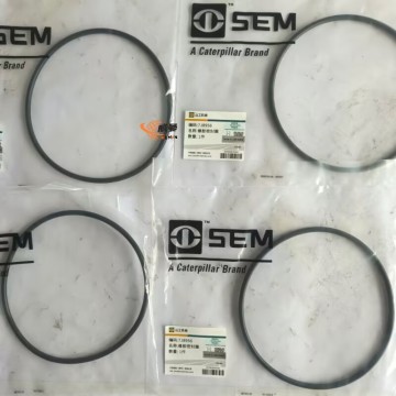 SEM 7J8956 W44000080 Sealing Ring 0.1kg for Machine with good price