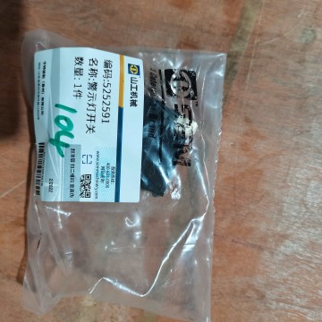 5252591 warning light switch