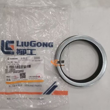 Original Liugong 13B0260 0.08kg Dust for machine with good price