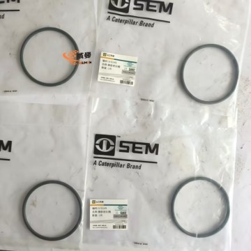 SEM 5F0149 W44000078 Sealing Ring 0.1kg for Machine with good price