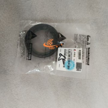 SDLG 4110002580011 Skeleton oil seal 0.05kg for machine with Good Quality and Price