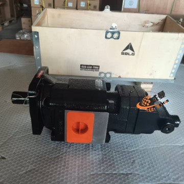 SDLG Double - Acting Pump 10010 (Part No. 4120006683)