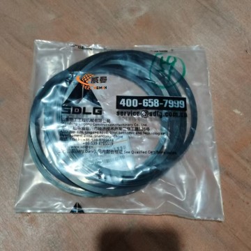SDLG part 4110000218094 SEAL RING BD05-01103 for sale Sealing ring