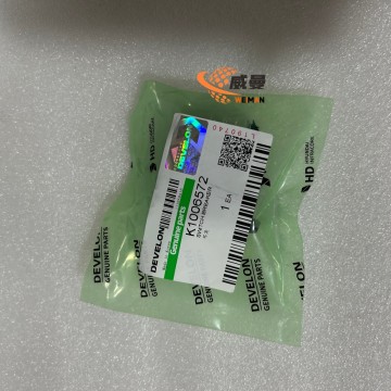 Hyundai  Power Lock Rocker Switch K1006572