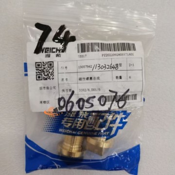Weichai 13032640 magnetic screw plug for machine with Good Quality and Price