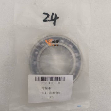 ZF 0750116100 Ball Bearing GB276-6009 4021000010 for machine with Good Quality&Price