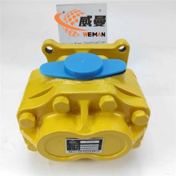 Shantui   10y-76-11000 Double Pumps for machine with Good Quality and Price