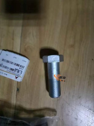 SDLG Screw 29070021631 for LG Wheel Loader with good price