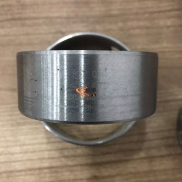 Shangchai D02A-113-01B+B CAMSHAFT BUSHING for Machinery with good price