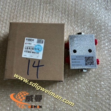 ORIGINAL SDLG  4120004030 HYDRAULIC LOCK  APPLY FOR SDLG MOTOR GRADER G9190 G9200 G9220