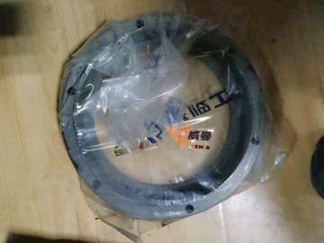 SDLG Sealing cover 29070001231 for LG Wheel Loader with good price