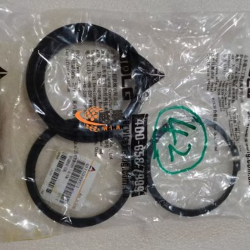 SDLG 4015000024 Retaining Ring GB894.1-90-65Mn(bearing) for machine with Good Quality and Price