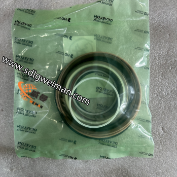 DOOSAN & DEVELON 401107-00298A SAELING KIT BUKET