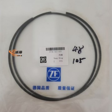 0730513417 0730513417 SNAP RING ZF Parts