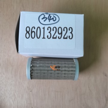 XCMG 860132923 (135859) Filter(Carraro) 0.05kg for sale