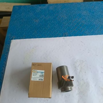 SEM 5195366 TD22030020 Inner Gear 2kg for Machine with good price