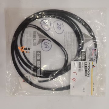 2030900061 Combined sealing ring Seal Kit (2030900061) for Sdlg Wheel Loader