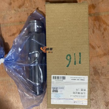 W020200201 Output shaft