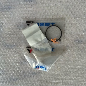 SDLG Sealing Ring 4110000217069  for LG Wheel Loader with good price