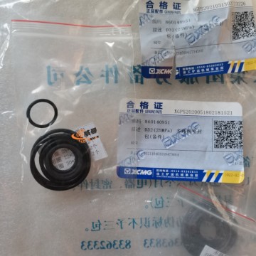 XCMG 860140951 D32(25MPa) Valve Seal Kit 0.01kg for sale