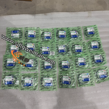 65.02503-8058-3 (1).png