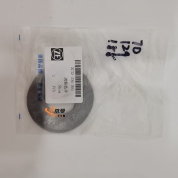 0730306095 Adjusting shim ZF