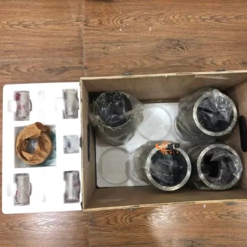 Shangchai D05-101-30+C CYLINDER KITS for Machinery with good price