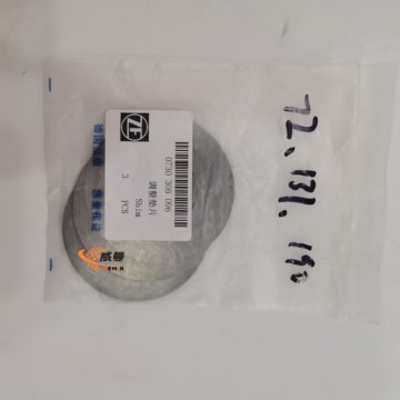 0730306096 Adjusting shim ZF